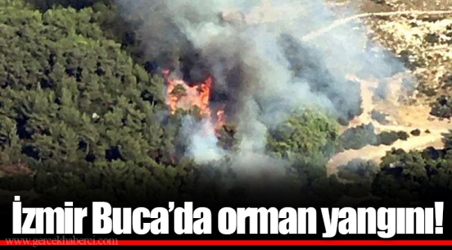 İzmir Buca’da orman yangını!