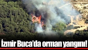 İzmir Buca’da orman yangını!