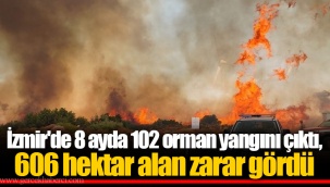 İzmir'de 8 ayda 102 orman yangını çıktı, 606 hektar alan zarar gördü