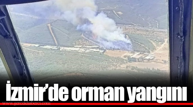 İzmir'de orman yangını