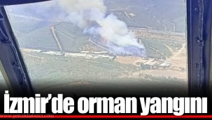 İzmir'de orman yangını