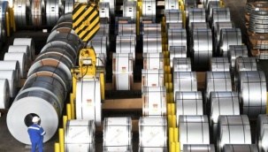 Merkez Bankası da kurdaki artıştan şikayetçi
