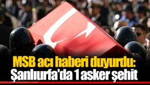 MSB acı haberi duyurdu: Şanlıurfa'da 1 asker şehit