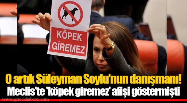 O artık Süleyman Soylu'nun danışmanı! Meclis'te 'köpek giremez' afişi göstermişti