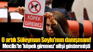 O artık Süleyman Soylu'nun danışmanı! Meclis'te 'köpek giremez' afişi göstermişti