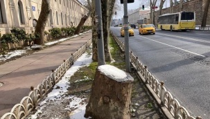 Orman Mühendisleri Odası: