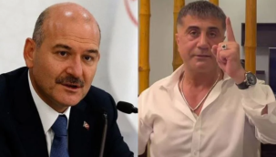 Şirin Payzın, Soylu'ya yanıt verdi: Umarım Sedat Peker'in ifşaları doğru çıkmaz