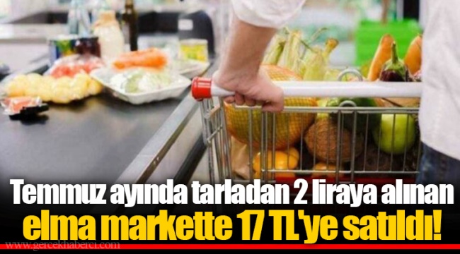 Temmuz ayında tarladan 2 liraya alınan elma markette 17 TL'ye satıldı!