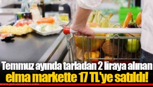 Temmuz ayında tarladan 2 liraya alınan elma markette 17 TL'ye satıldı!