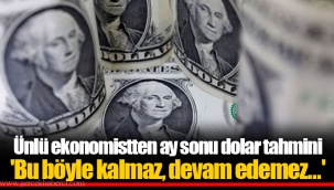 Ünlü ekonomistten ay sonu dolar tahmini 'Bu böyle kalmaz, devam edemez...'