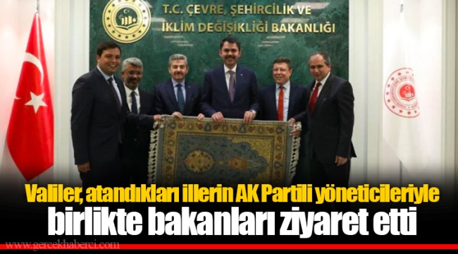 Valiler, atandıkları illerin AK Partili yöneticileriyle birlikte bakanları ziyaret etti
