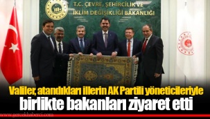 Valiler, atandıkları illerin AK Partili yöneticileriyle birlikte bakanları ziyaret etti