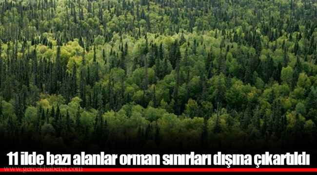 11 ilde bazı alanlar orman sınırları dışına çıkartıldı