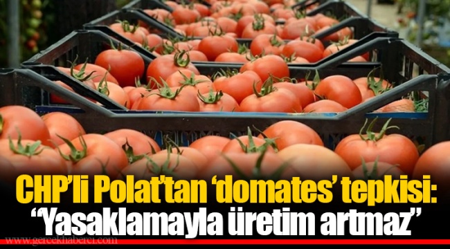 CHP’li Polat’tan ‘domates’ tepkisi: “Yasaklamayla üretim artmaz”