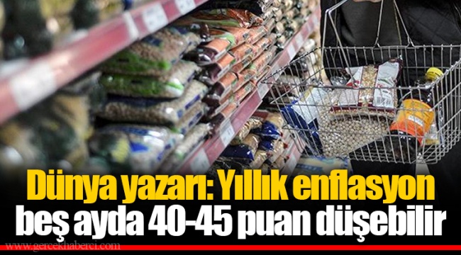 Dünya yazarı: Yıllık enflasyon beş ayda 40-45 puan düşebilir