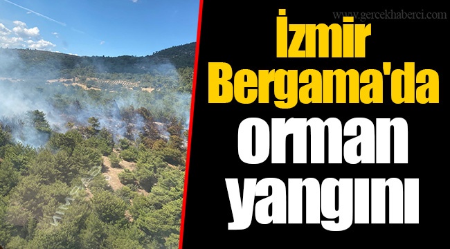 İzmir Bergama'da orman yangını