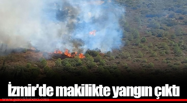 İzmir'de makilikte yangın çıktı