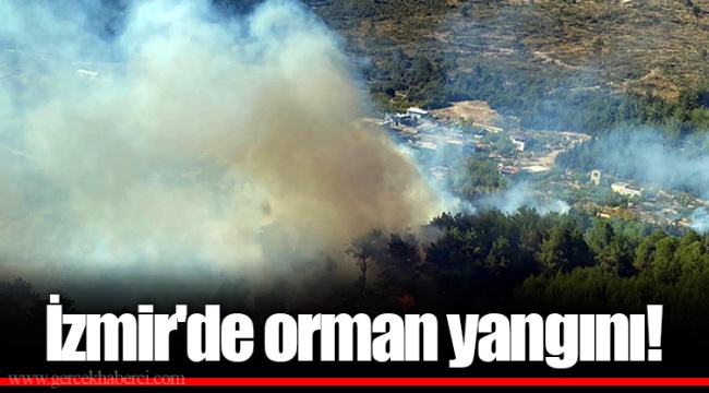 İzmir'de orman yangını!