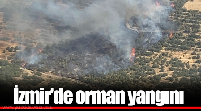 İzmir'de orman yangını