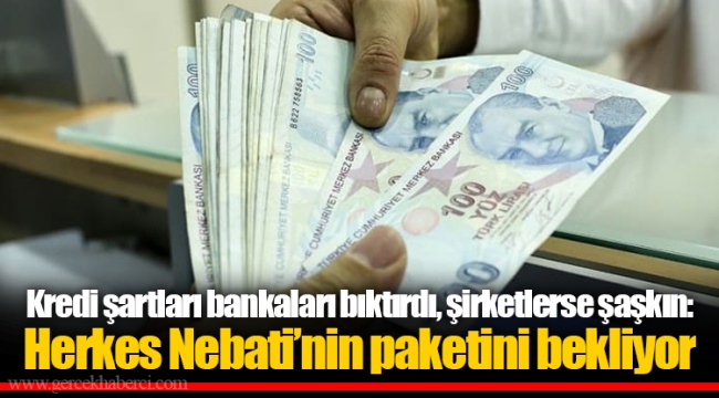Kredi şartları bankaları bıktırdı, şirketlerse şaşkın: Herkes Nebati’nin paketini bekliyor