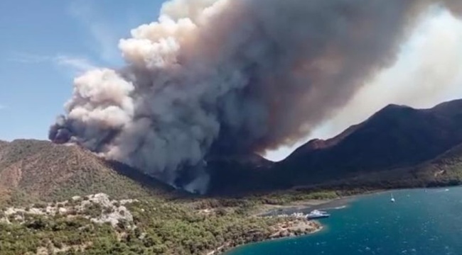 Marmaris’te orman yangını