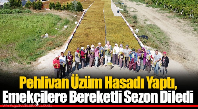 Pehlivan Üzüm Hasadı Yaptı, Emekçilere Bereketli Sezon Diledi