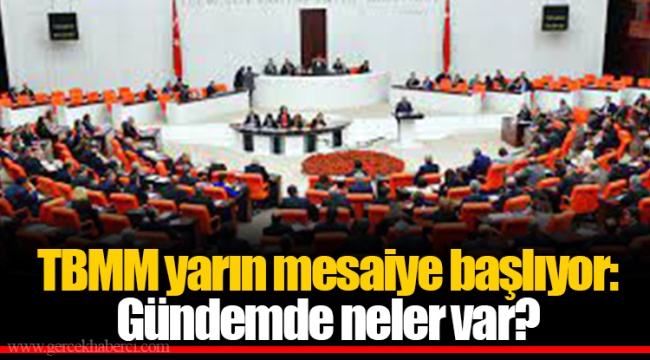 TBMM yarın mesaiye başlıyor: Gündemde neler var?