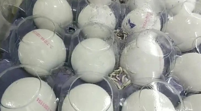 Zincir marketlerde skandal: Çürük muzdan sonra kurtlu yumurta satışta