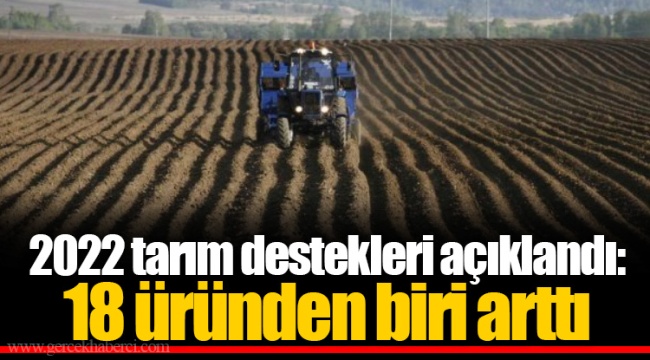 2022 tarım destekleri açıklandı: 18 üründen biri arttı