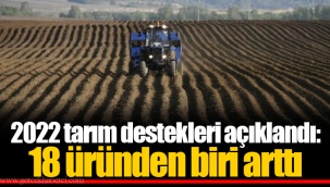 2022 tarım destekleri açıklandı: 18 üründen biri arttı