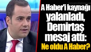 A Haber'i kaynağı yalanladı, Demirtaş mesaj attı: Ne oldu A Haber?