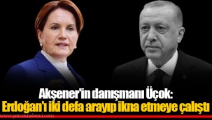 Akşener'in danışmanı Üçok: Erdoğan'ı iki defa arayıp ikna etmeye çalıştı