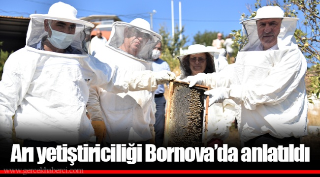 Arı yetiştiriciliği Bornova’da anlatıldı