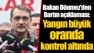 Bakan Dönmez'den Bartın açıklaması: Yangın büyük oranda kontrol altında