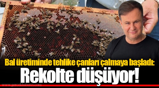 Bal üretiminde tehlike çanları çalmaya başladı: Rekolte düşüyor!