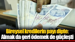 Bireysel kredilerin payı dipte: Almak da geri ödemek de güçleşti