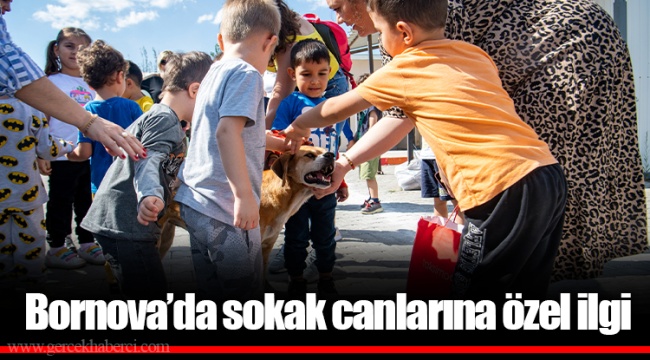 Bornova’da sokak canlarına özel ilgi