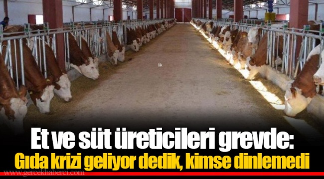 Et ve süt üreticileri grevde:  Gıda krizi geliyor dedik, kimse dinlemedi