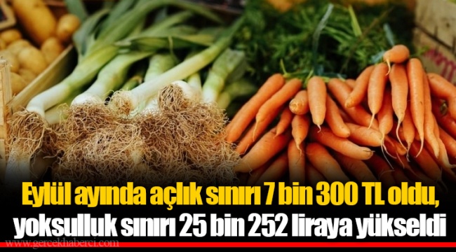 Eylül ayında açlık sınırı 7 bin 300 TL oldu, yoksulluk sınırı 25 bin 252 liraya yükseldi