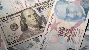IMF: Dolar karşısında en çok değer kaybeden para birimi TL