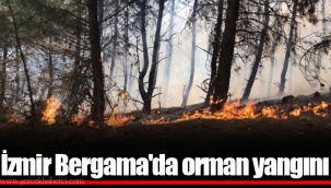 İzmir Bergama'da orman yangını