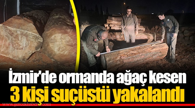 İzmir'de ormanda ağaç kesen 3 kişi suçüstü yakalandı