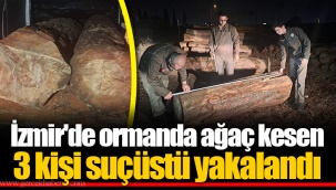 İzmir'de ormanda ağaç kesen 3 kişi suçüstü yakalandı