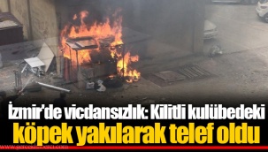 İzmir'de vicdansızlık: Kilitli kulübedeki köpek yakılarak telef oldu