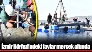 İzmir Körfezi’ndeki faylar mercek altında