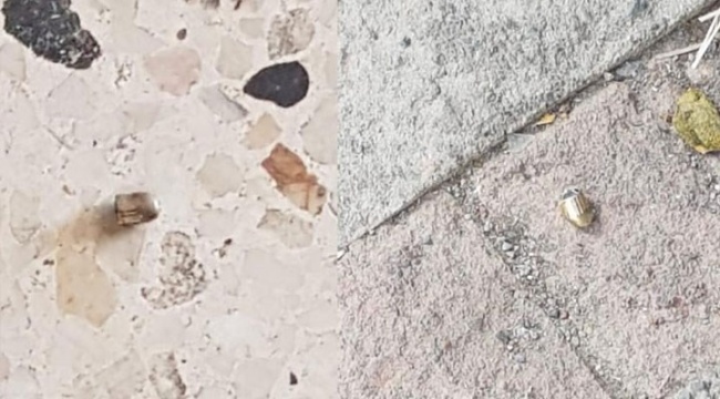 Karlıova’da HDP binasına silahlı saldırı: 1 kişi gözaltına alındı