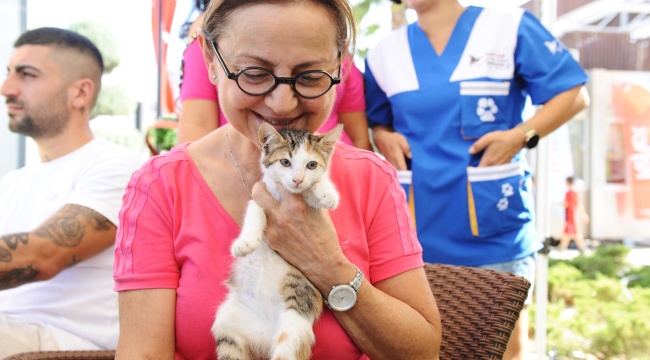 Karşıyaka’da can dostlara sıcak yuva aranıyor