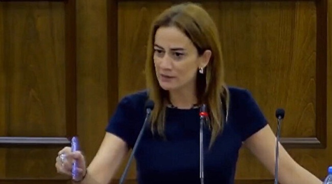 KKTC'li vekil: Erdoğan "KKTC'yi tanıyın" demiş, önce kendileri tanısın