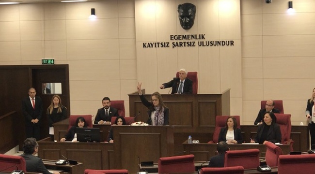 Kuzey Kıbrıslı vekil Doğuş Derya: Ada’ya yapılan külliyeler külliyen zarar