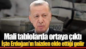 Mali tablolarda ortaya çıktı İşte Erdoğan'ın faizden elde ettiği gelir